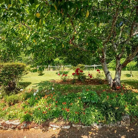 Maison Perigourdine Avec Jardin, Terrasse Et Acces Wifi A 3.5 Km Des Eyzies De Tayac - Fr-1-616-131 Prázdninový dům